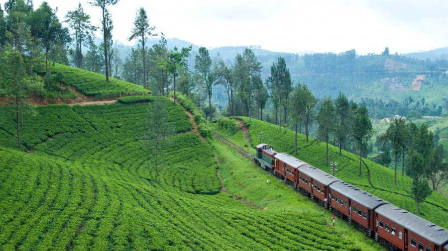 Viaje en el Tren del Té de Sri Lanka